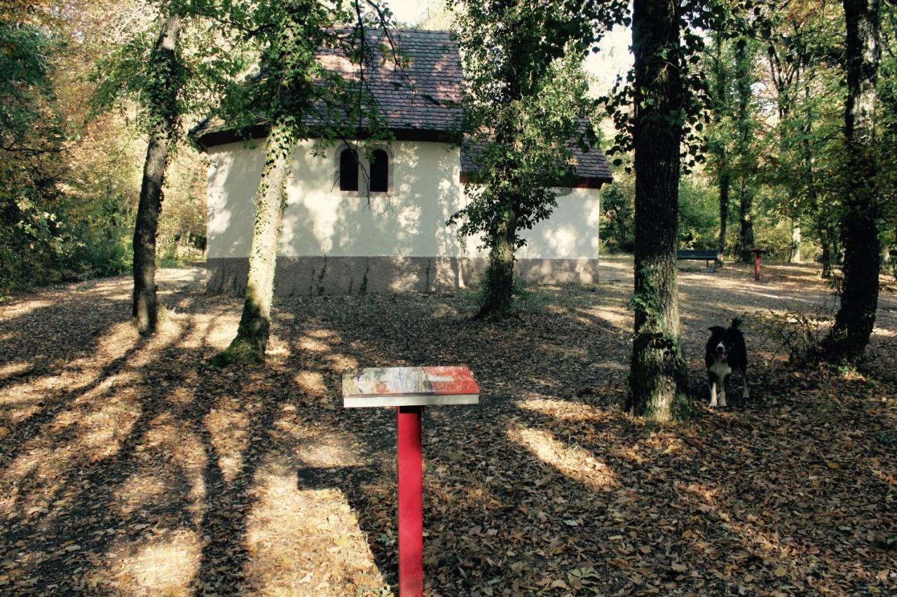 Maison Gite Alsace Illfurth Extérieur photo